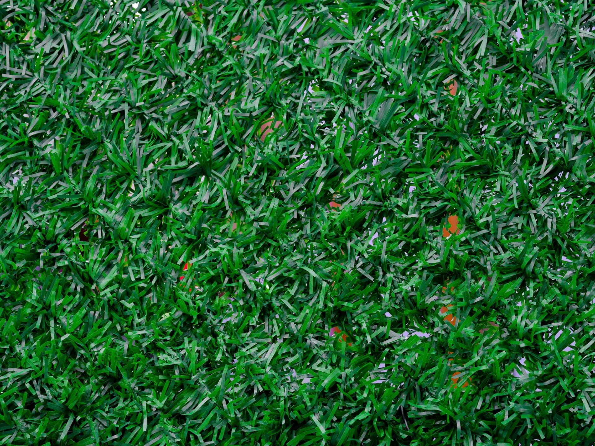 Close-up of dense, realistic artificial grass blades