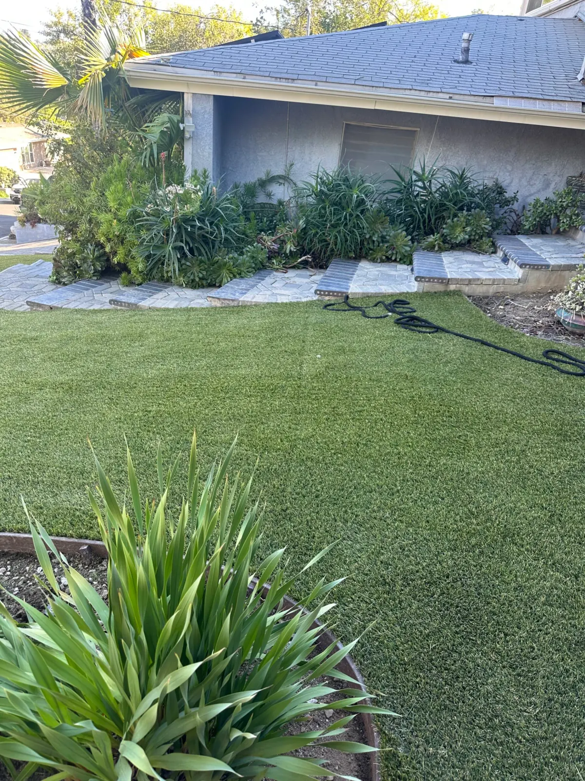 Lawn after artificial grass makeover